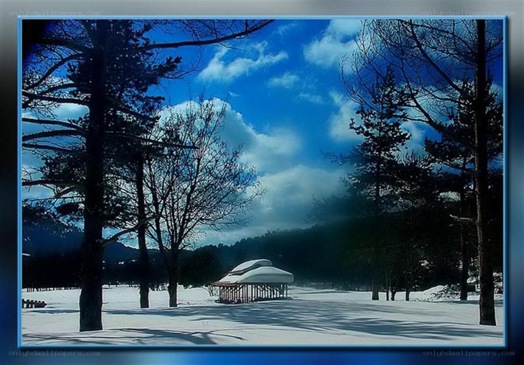 Snowy park with pavilion