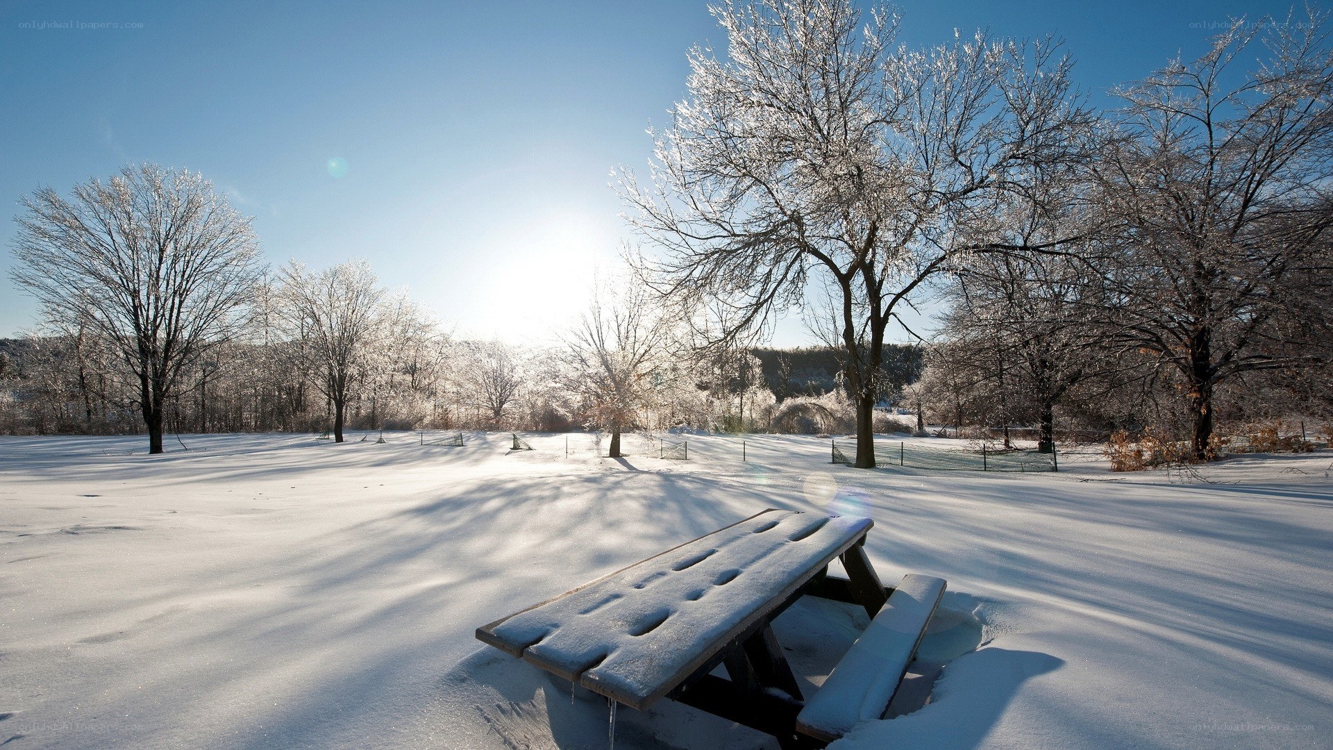 Snowy park with picnic table
