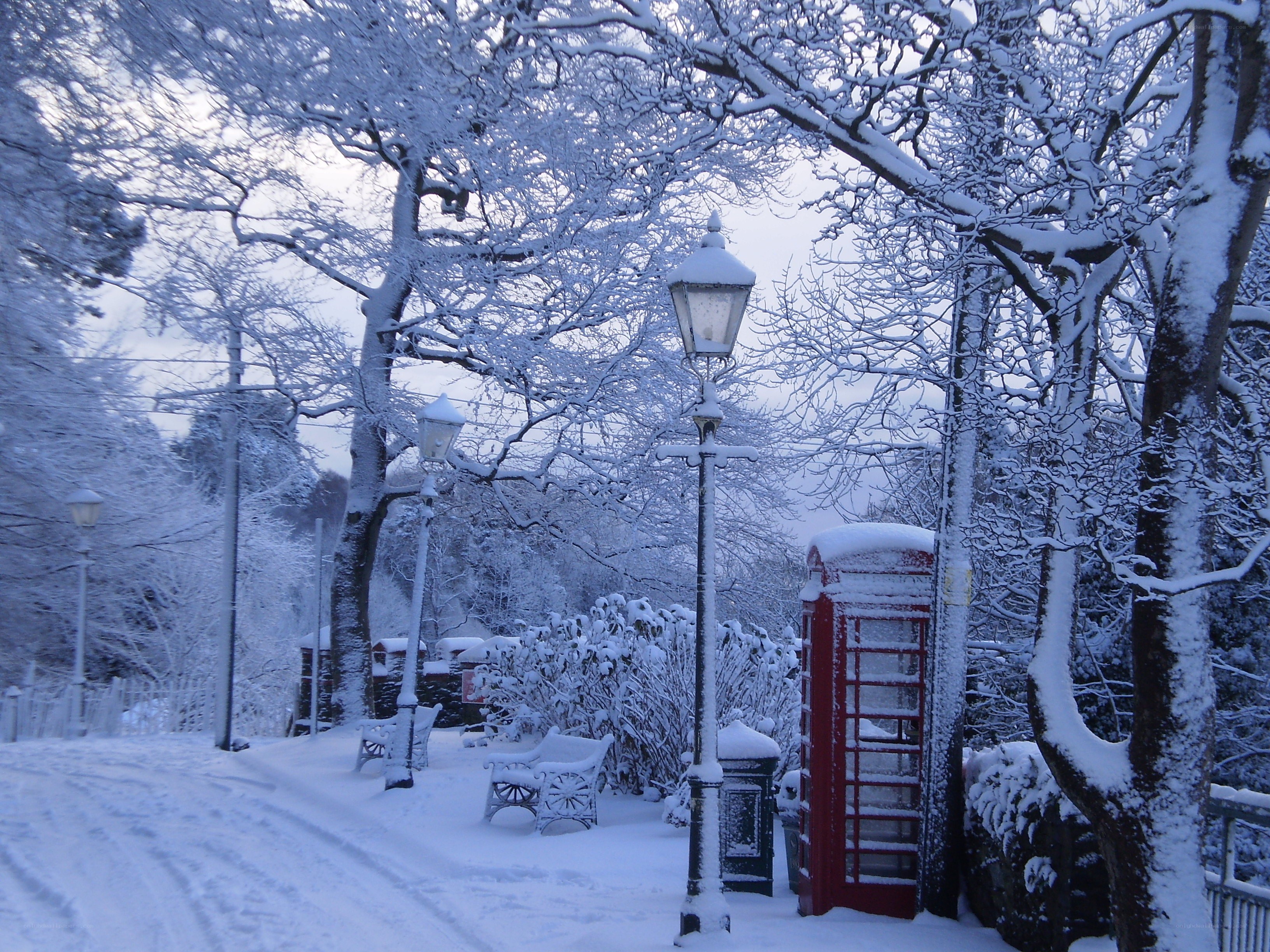 Snowy park with red phone box