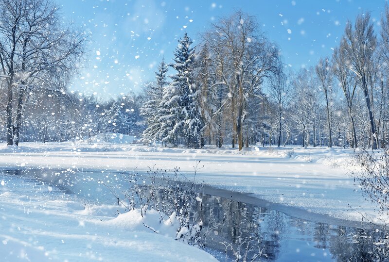 Snowy Park with River