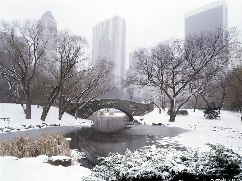Snowy park with stone bridge