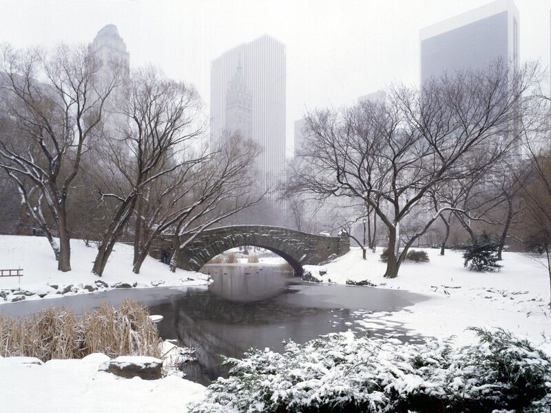 Snowy park with stone bridge