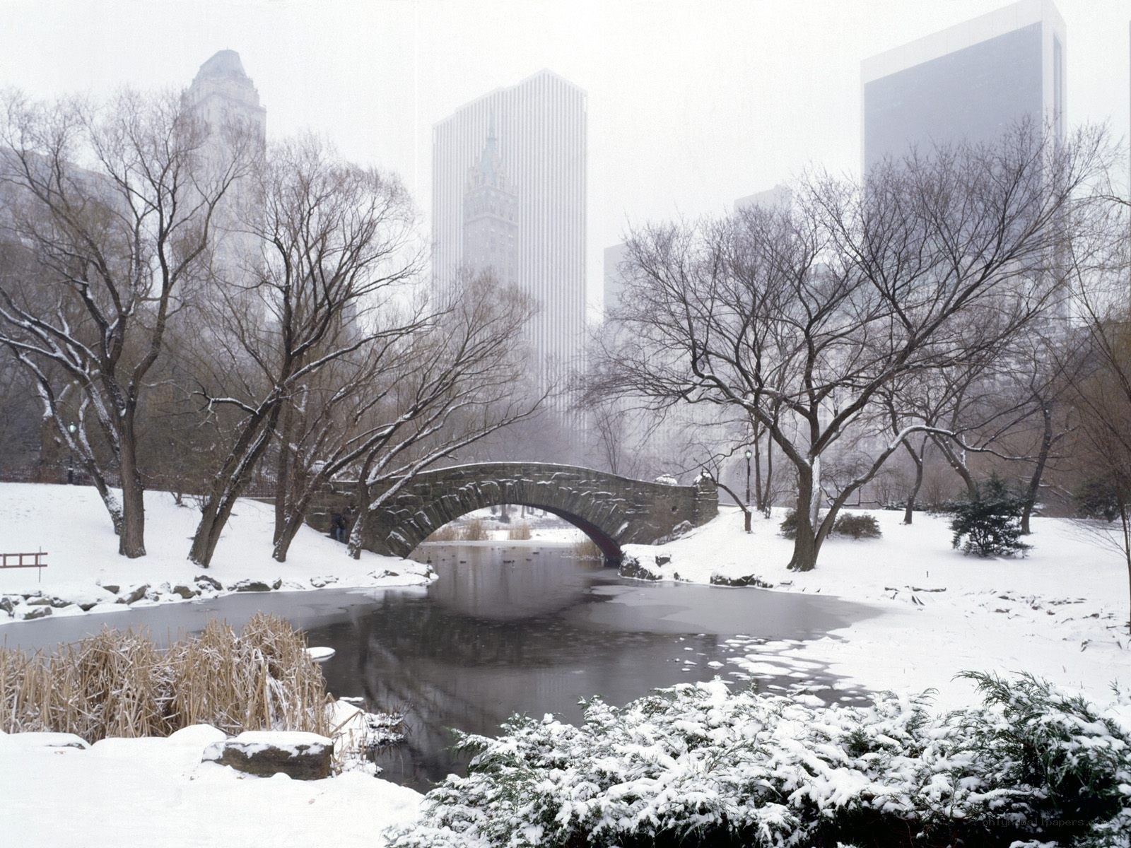 Snowy park with stone bridge