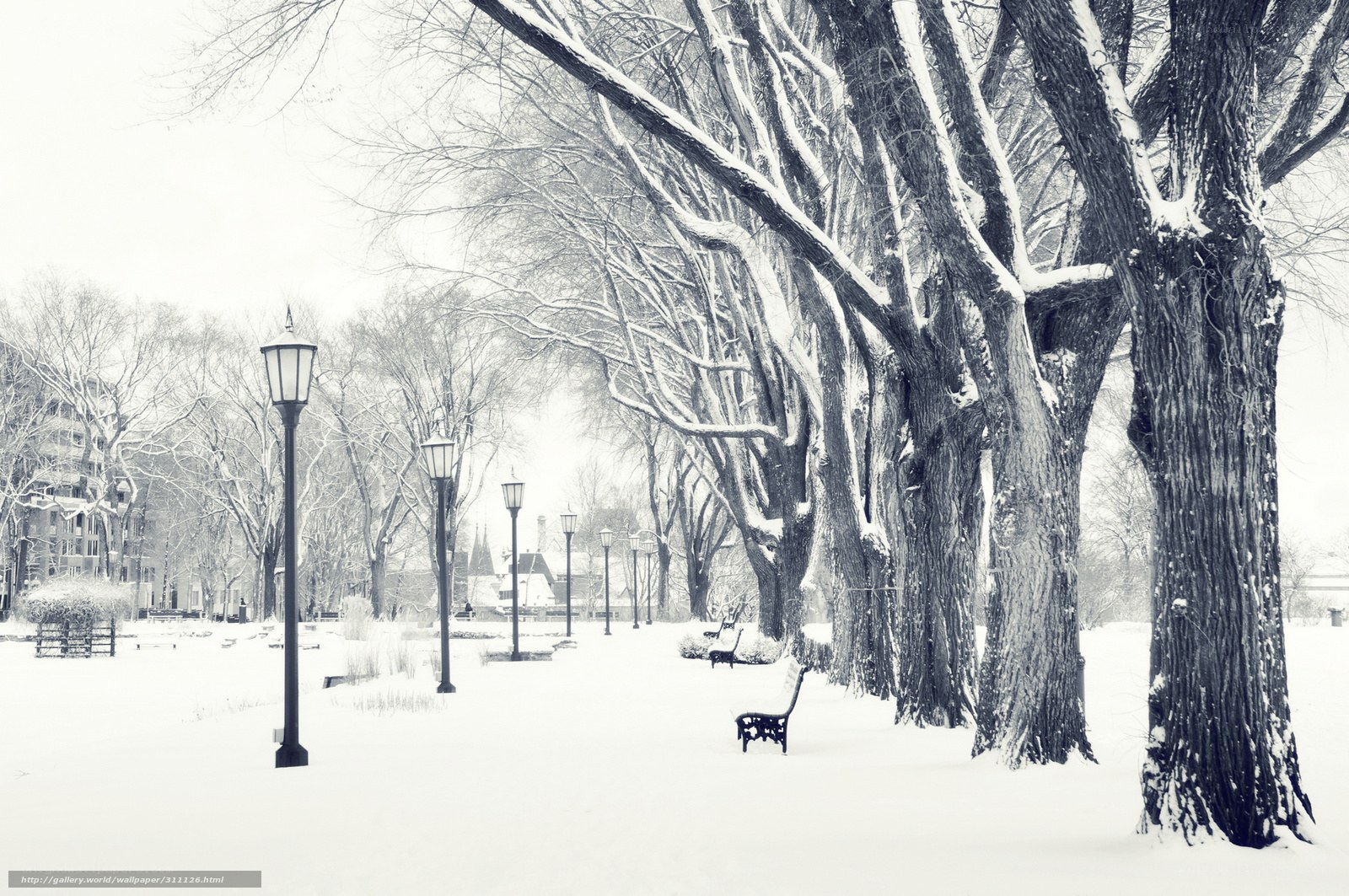 Snowy park with trees and benches