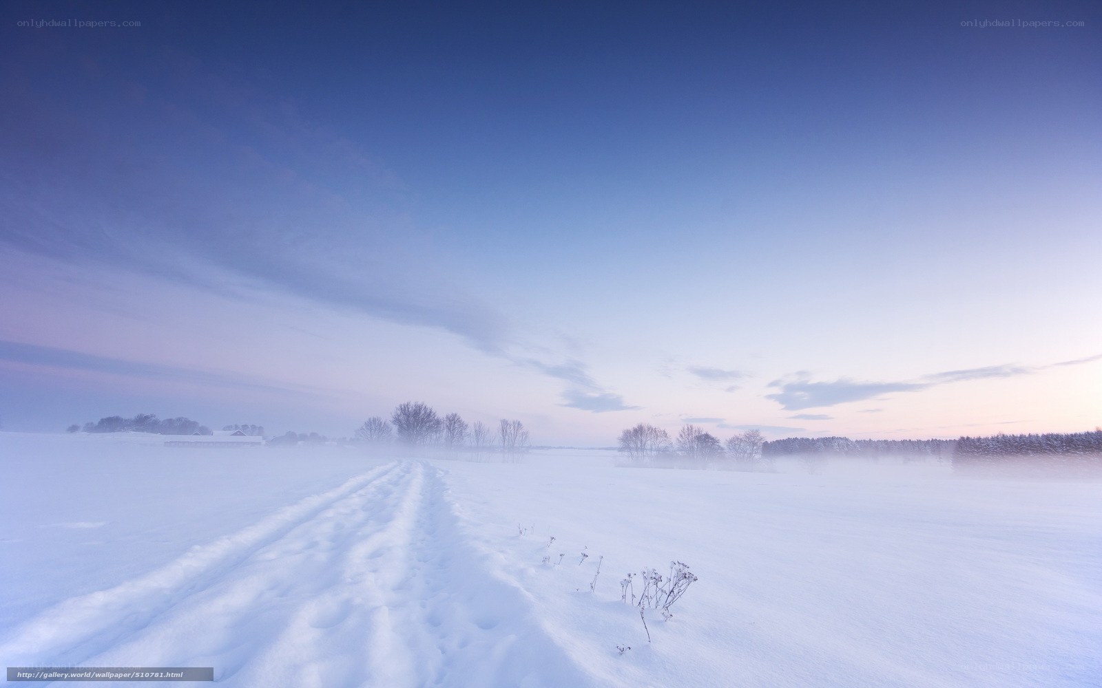 Snowy path at dawn
