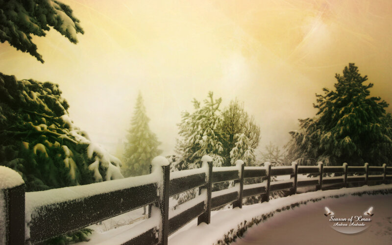 Snowy Path at Dawn