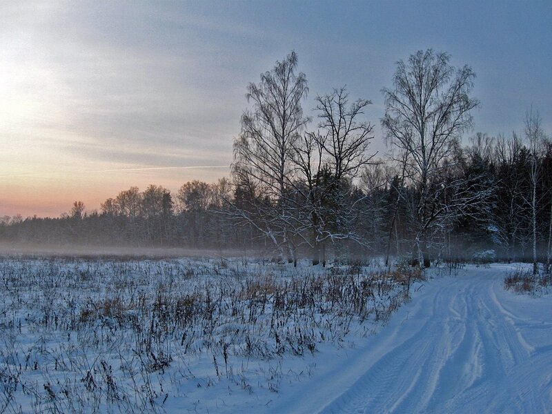 Snowy path at dawn