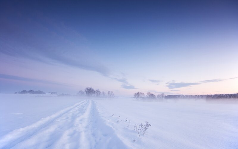 Snowy path at dawn