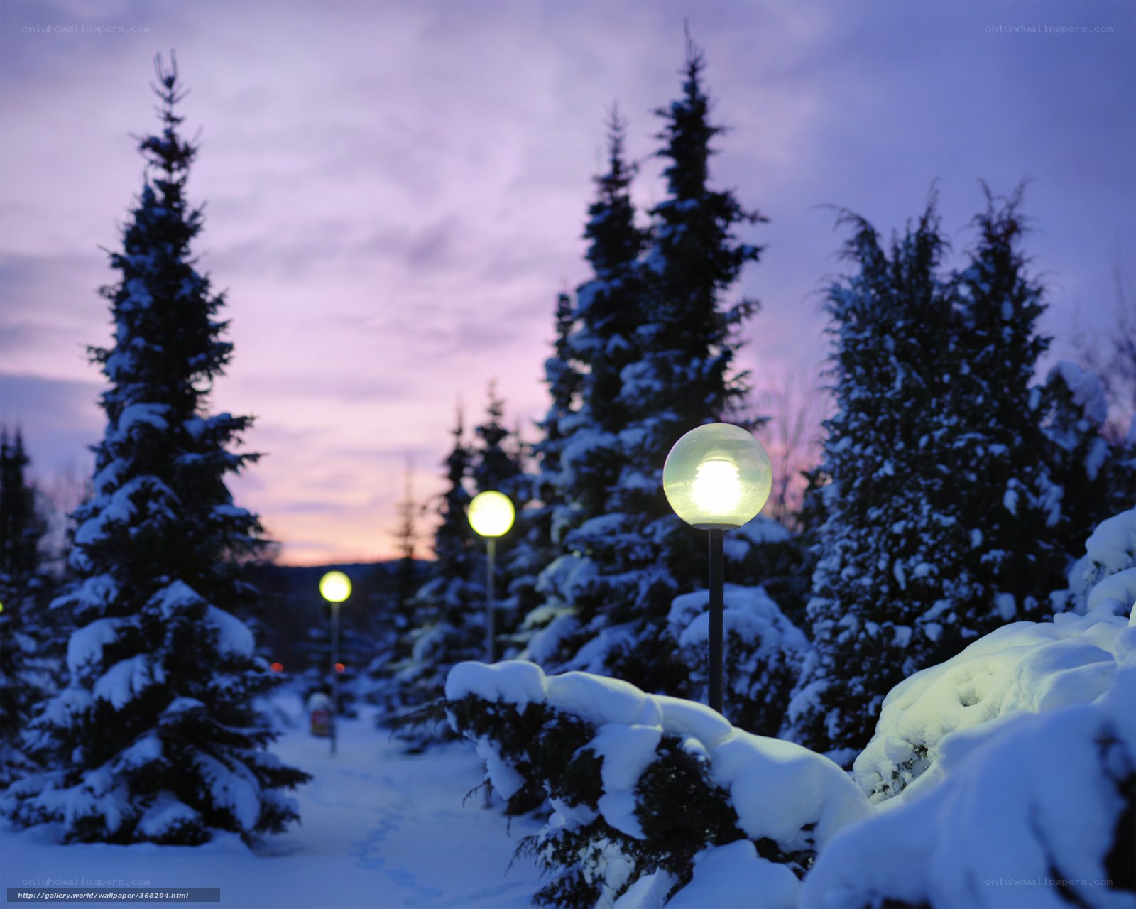 Snowy path at dusk
