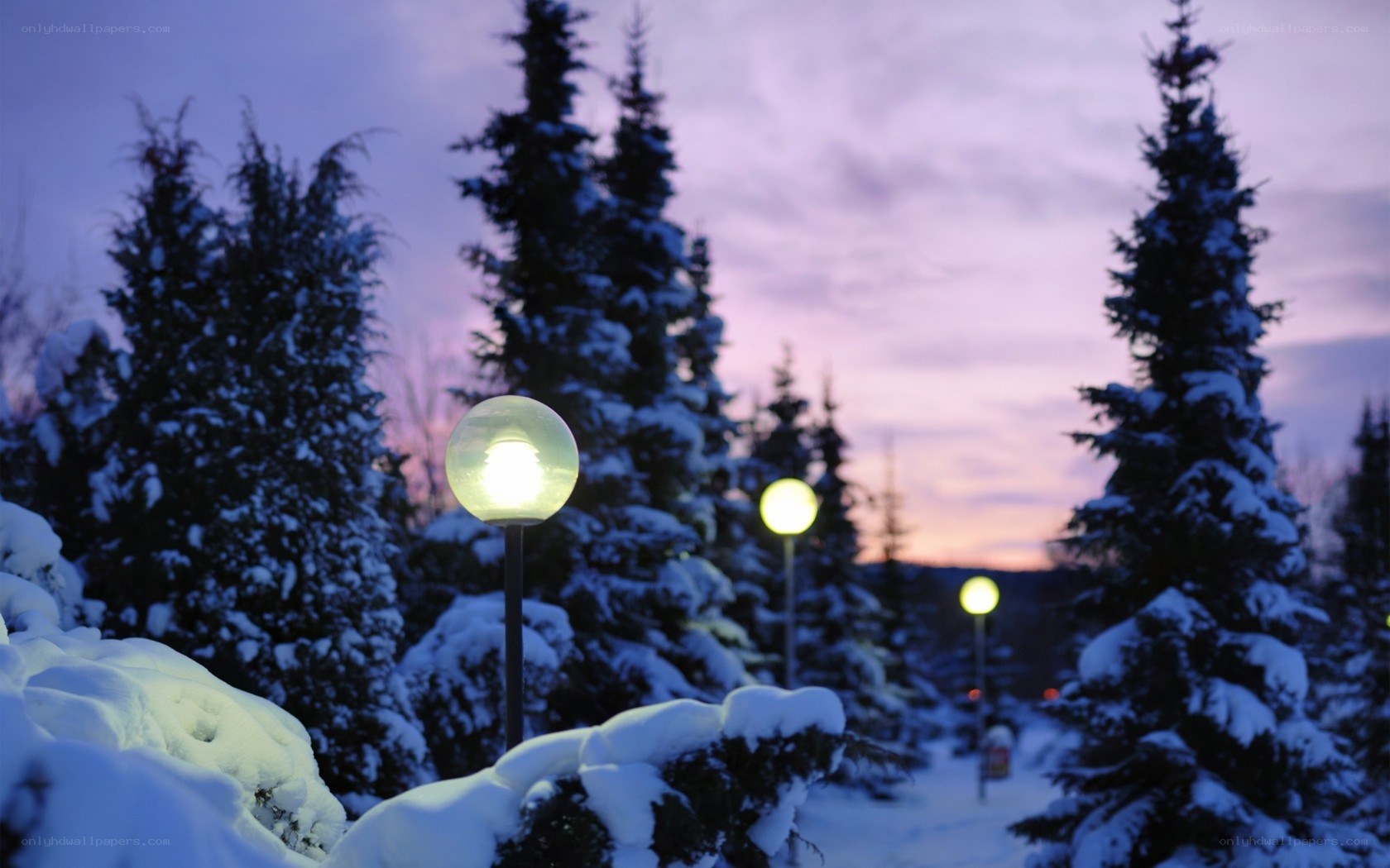 Snowy path at dusk