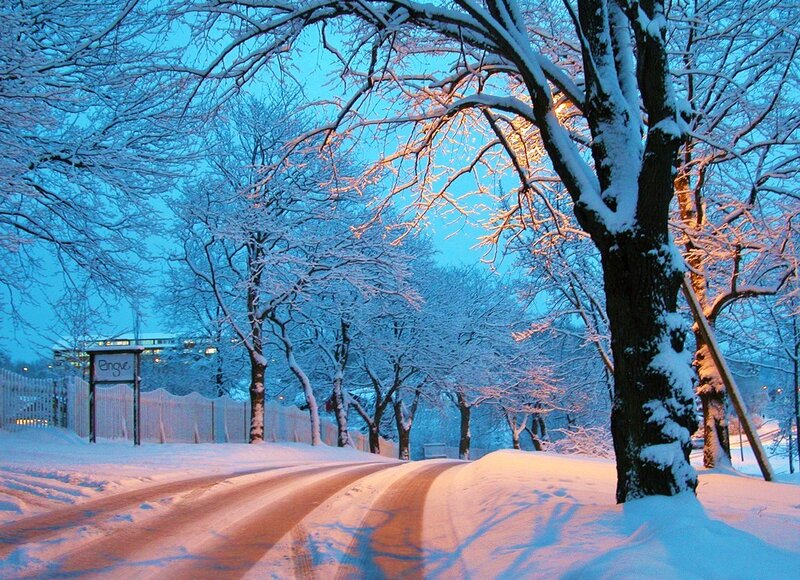 Snowy path at dusk
