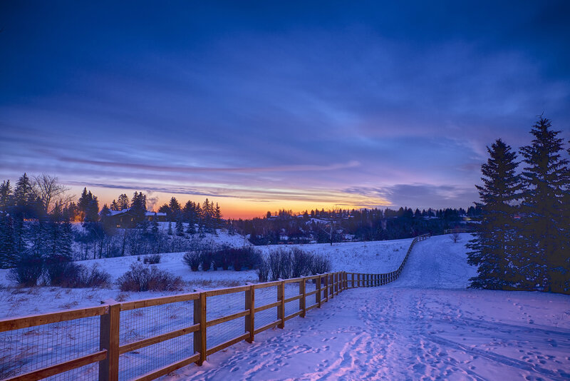 Snowy Path at Dusk — Blue
