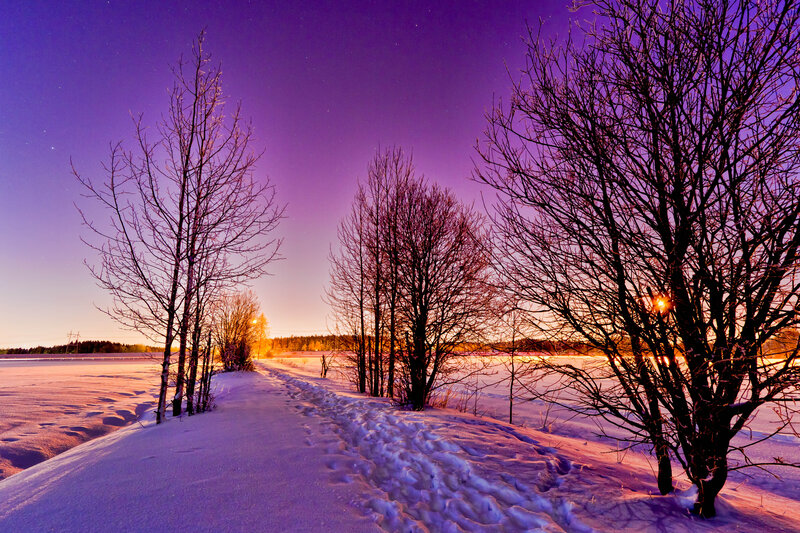 Snowy Path at Dusk — Purple, Serene
