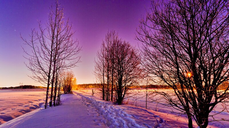 Snowy Path at Dusk — Purple, Serene, Winter