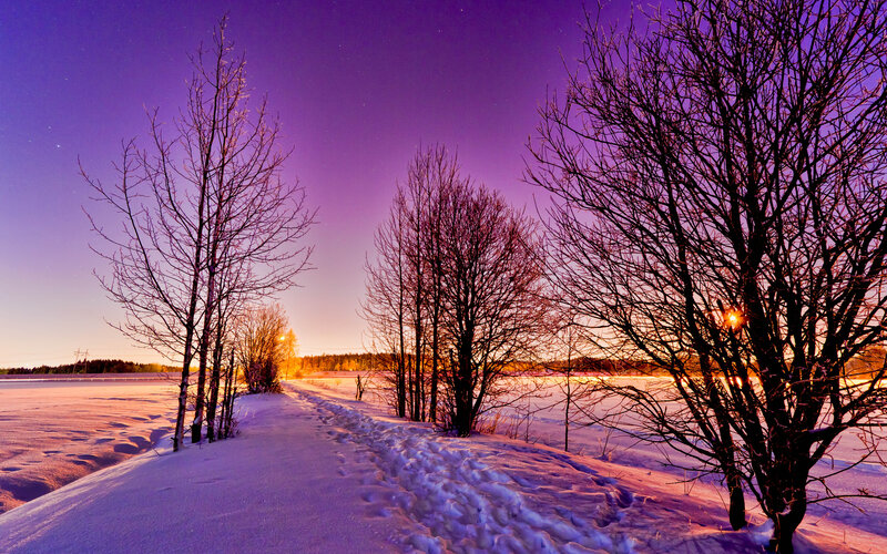 Snowy Path at Dusk — Purple
