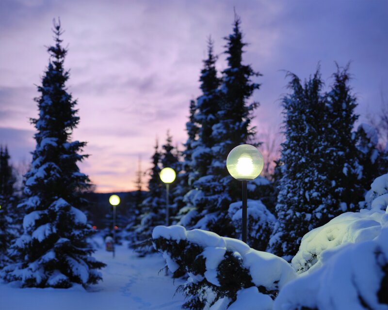 Snowy path at dusk