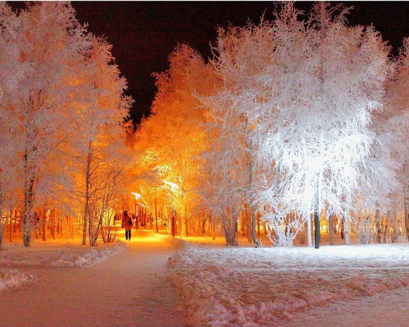 Snowy path at night