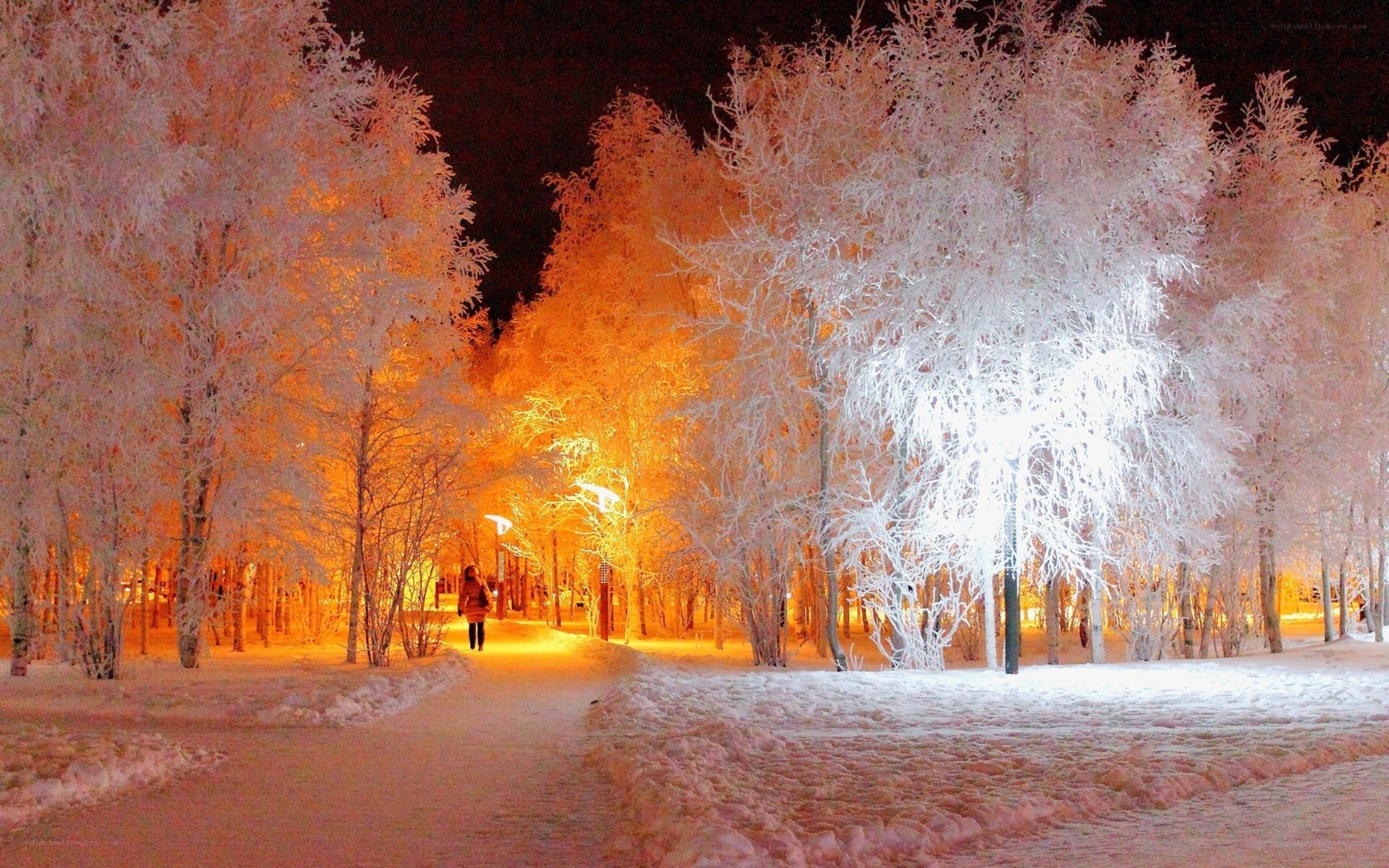 Snowy path at night