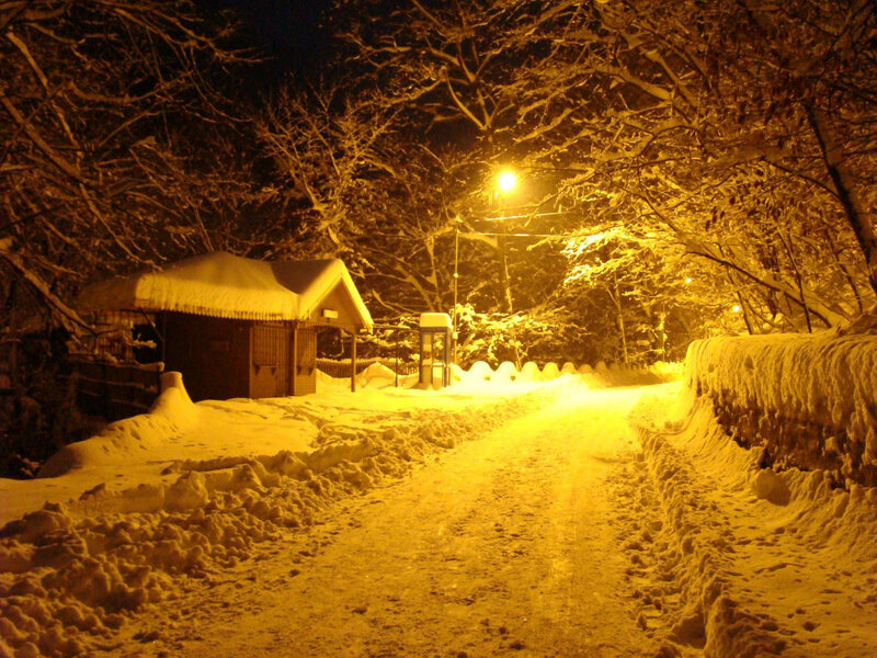 Snowy path at night