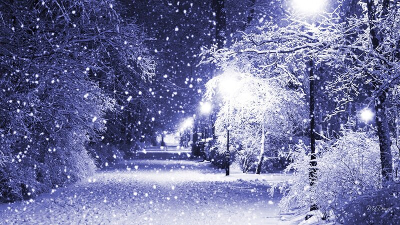 Snowy Path at Night — Blue, Serene, Photograph