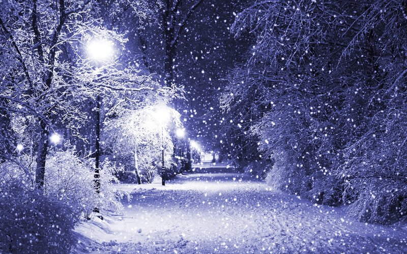 Snowy Path at Night — Blue, Serene, Photograph, Trees, Streetlights, Snow
