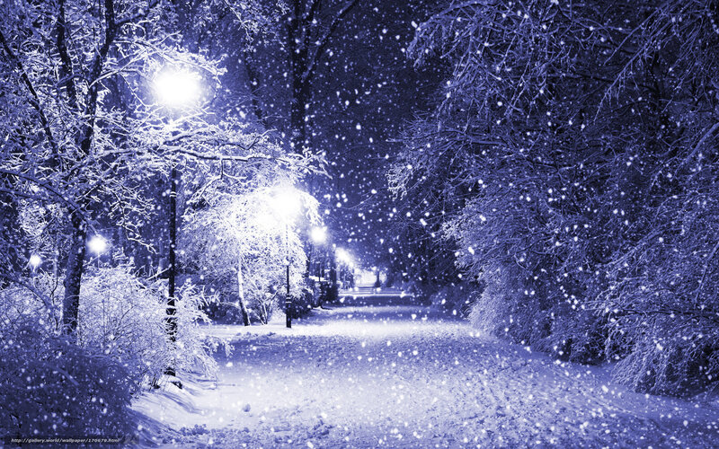 Snowy Path at Night — Blue, Serene, Photograph, Trees, Streetlights