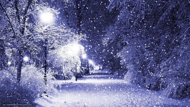 Snowy Path at Night — Blue, Serene, Photograph, Trees