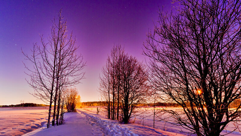 Snowy Path at Night — Purple