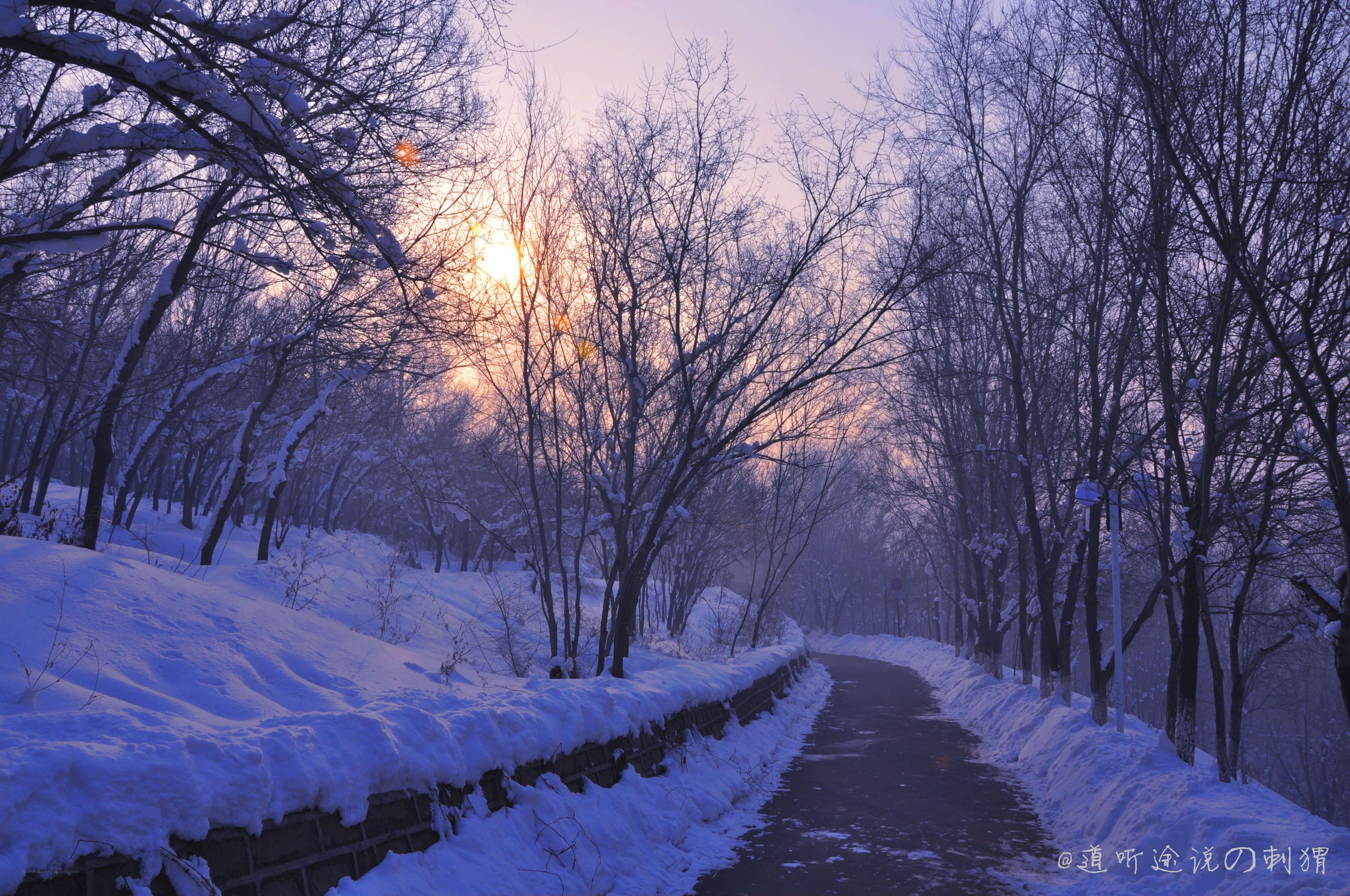 Snowy path at sunrise