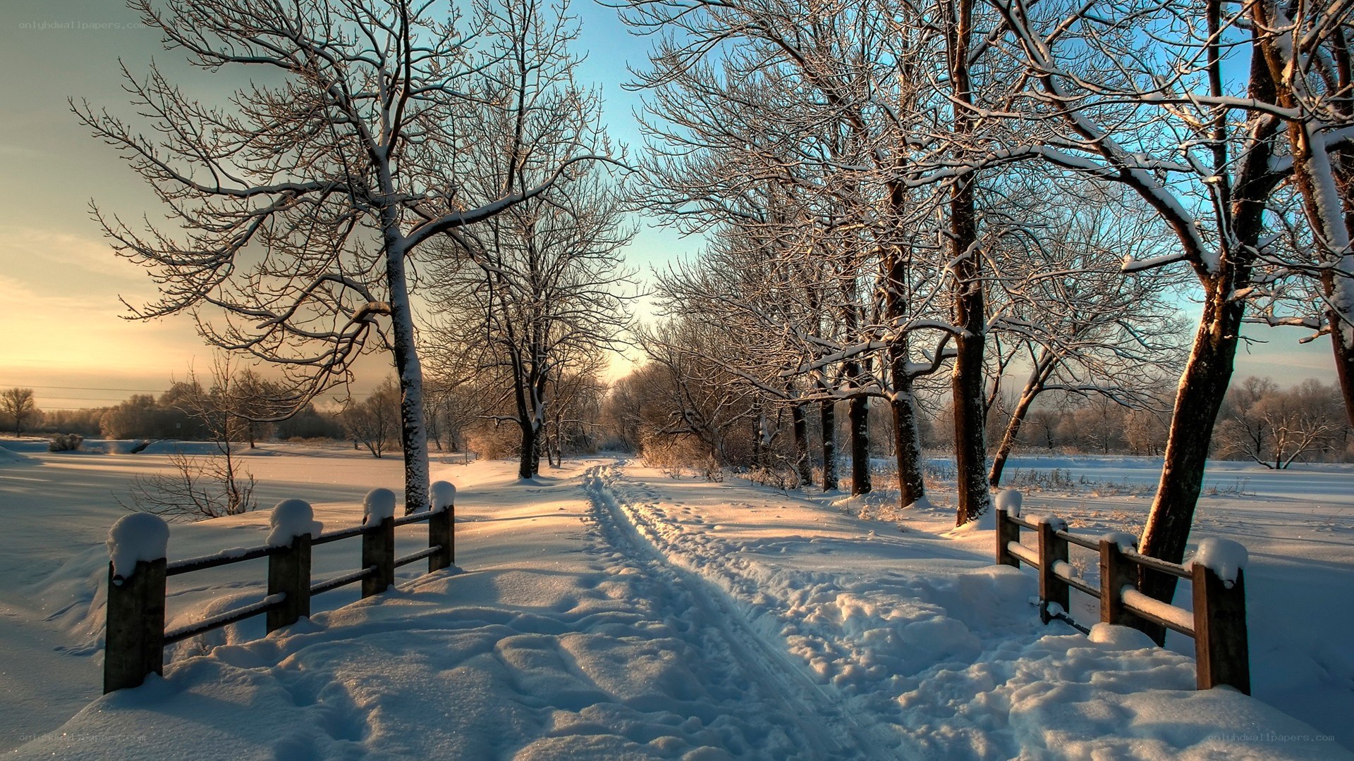 Snowy path at sunrise