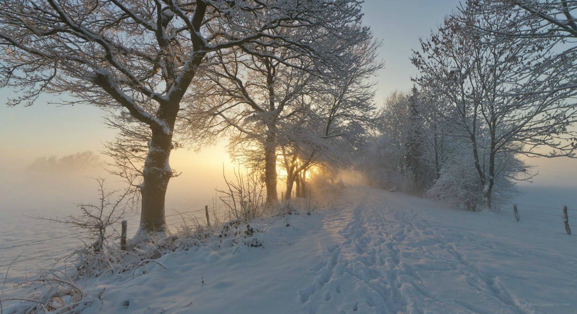 Snowy path at sunrise