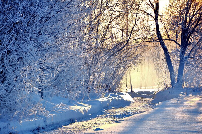 Snowy path at sunrise