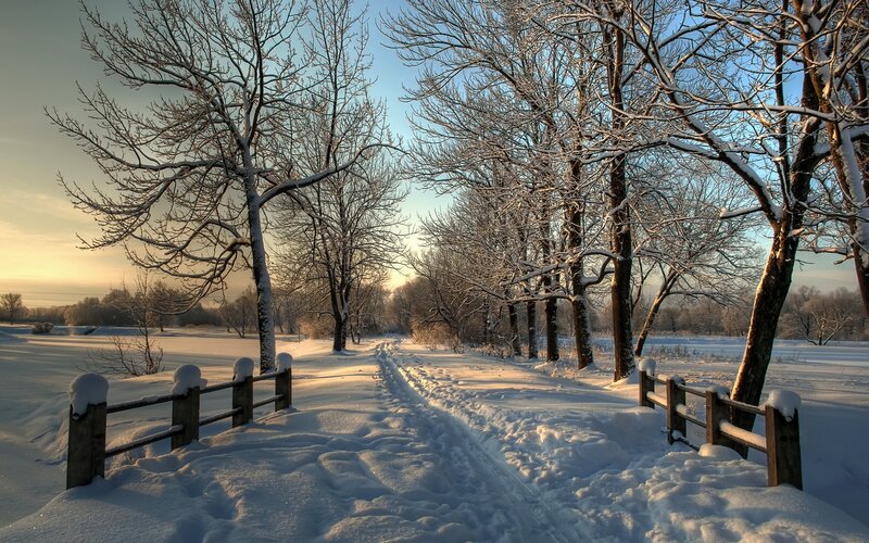 Snowy path at sunrise