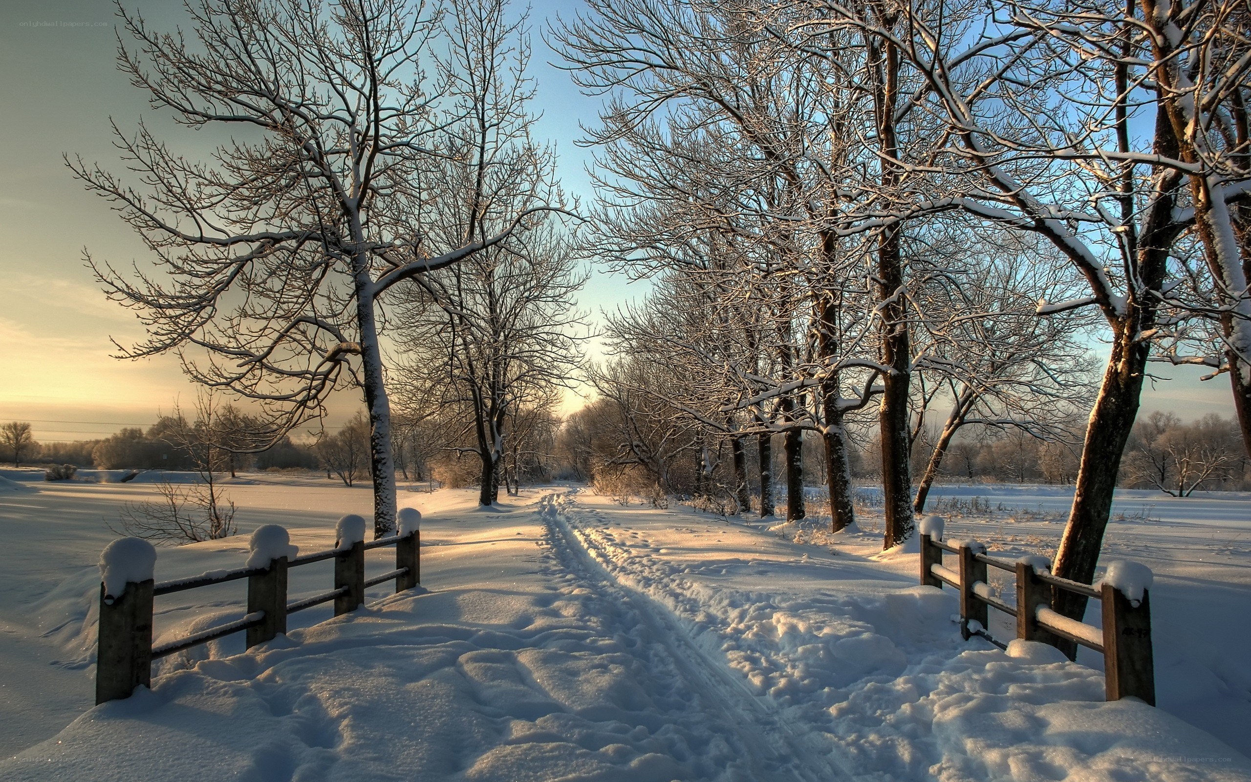 Snowy path at sunrise