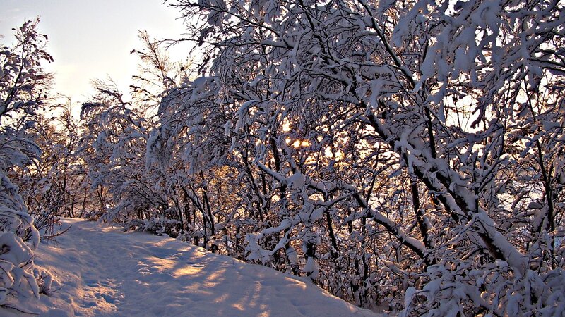 snowy path at sunset