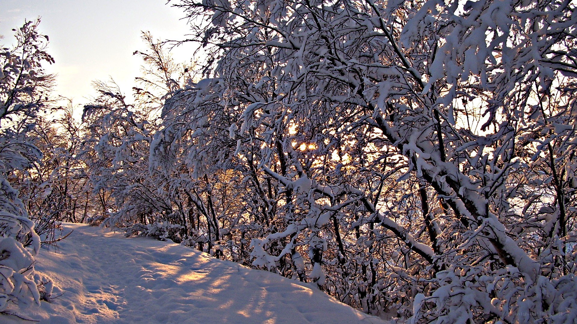snowy path at sunset