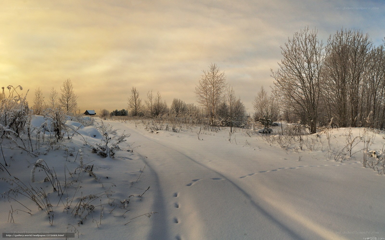 Snowy path at sunset