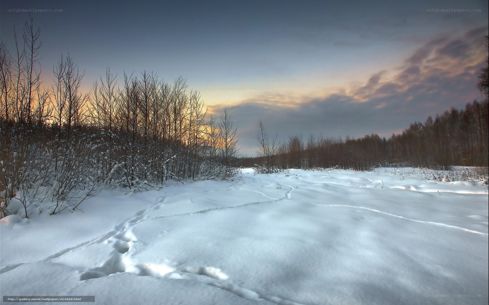 Snowy path at sunset