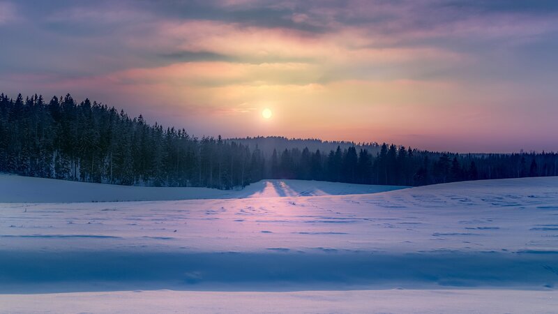 Snowy Path at Sunset — Purple, Serene