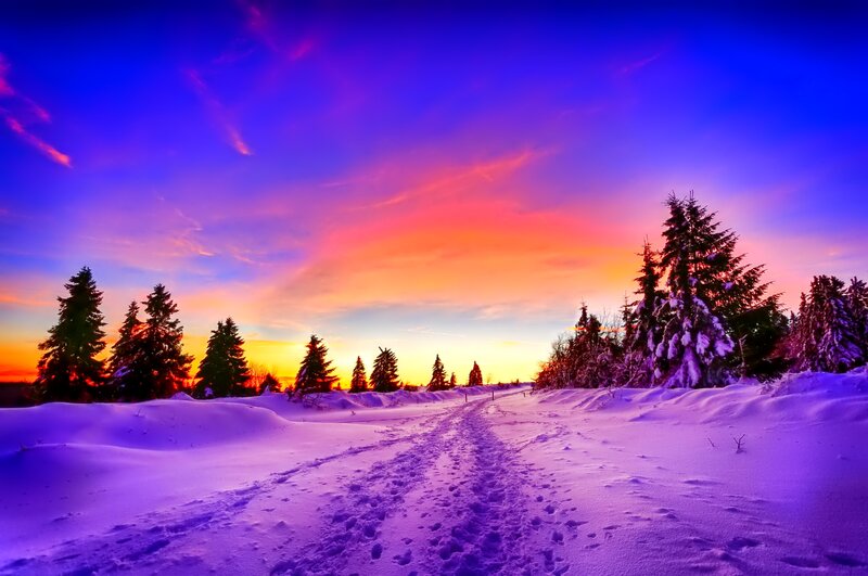 Snowy Path at Sunset — Purple