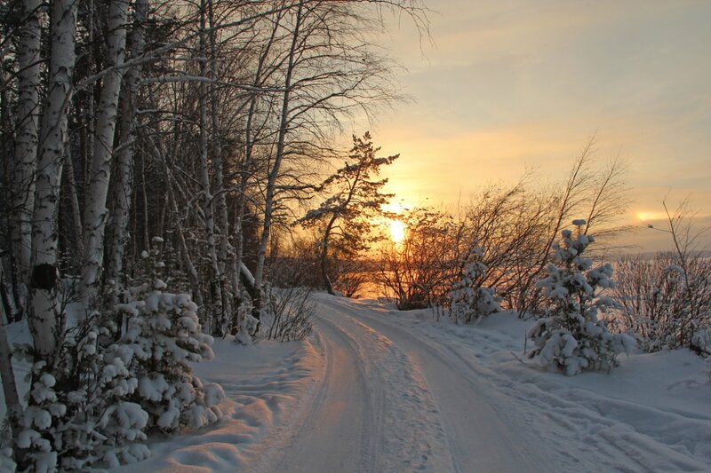 Snowy Path at Sunset — White, Serene