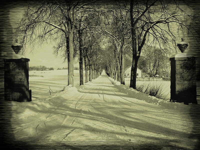 Snowy path between stone pillars