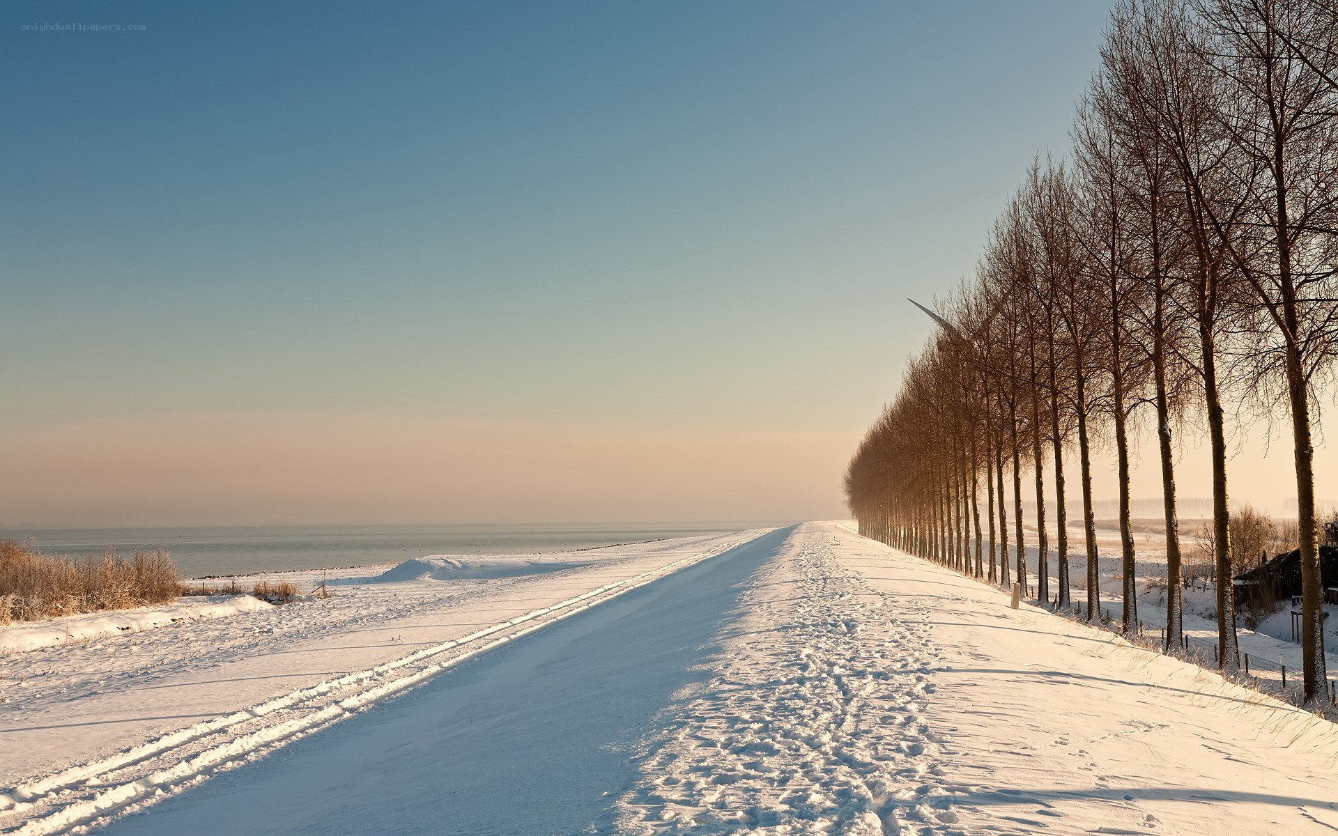 Snowy path by the sea
