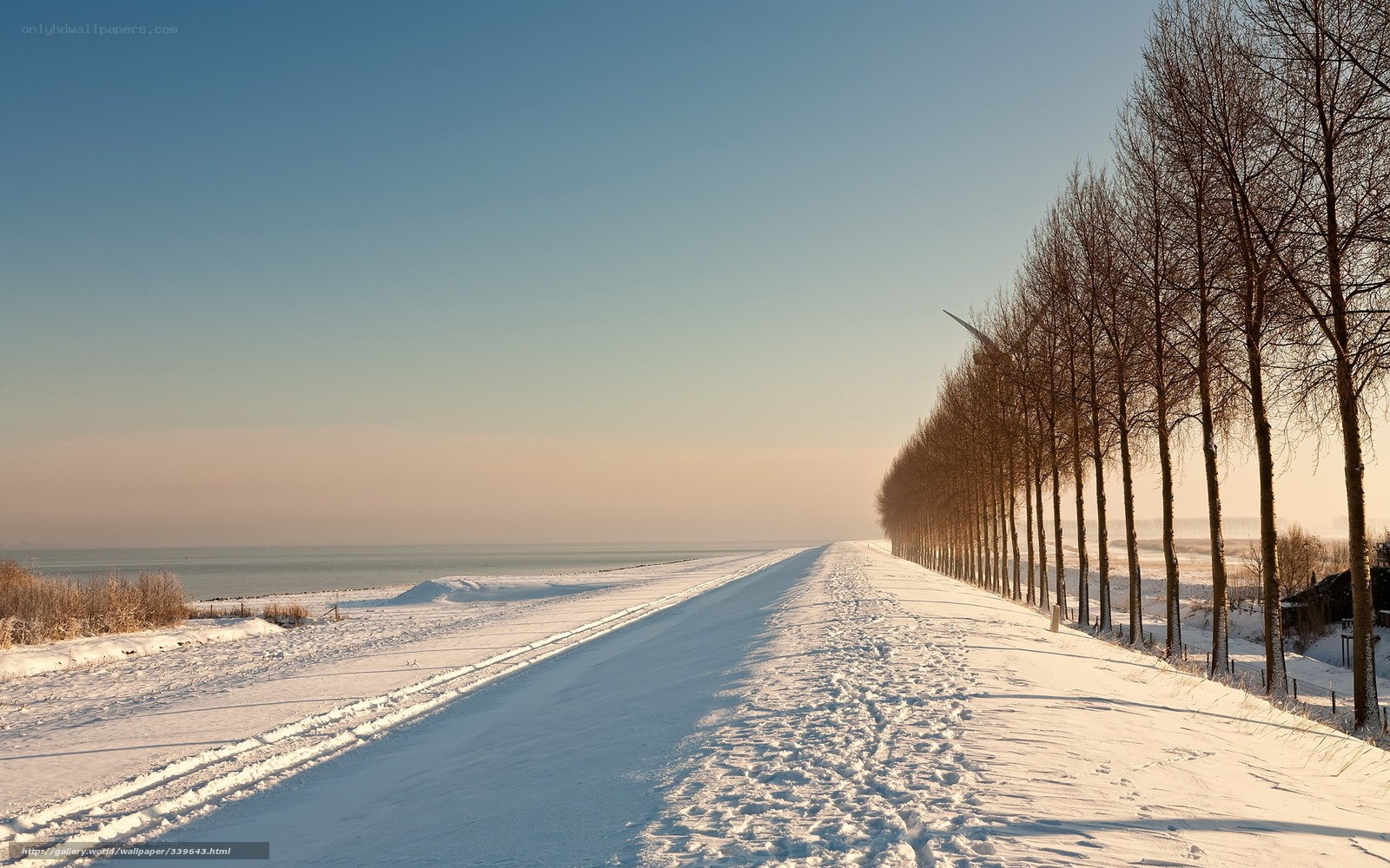 Snowy path by the sea