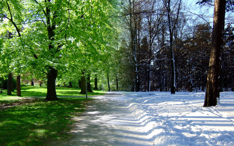 Snowy path in a green park