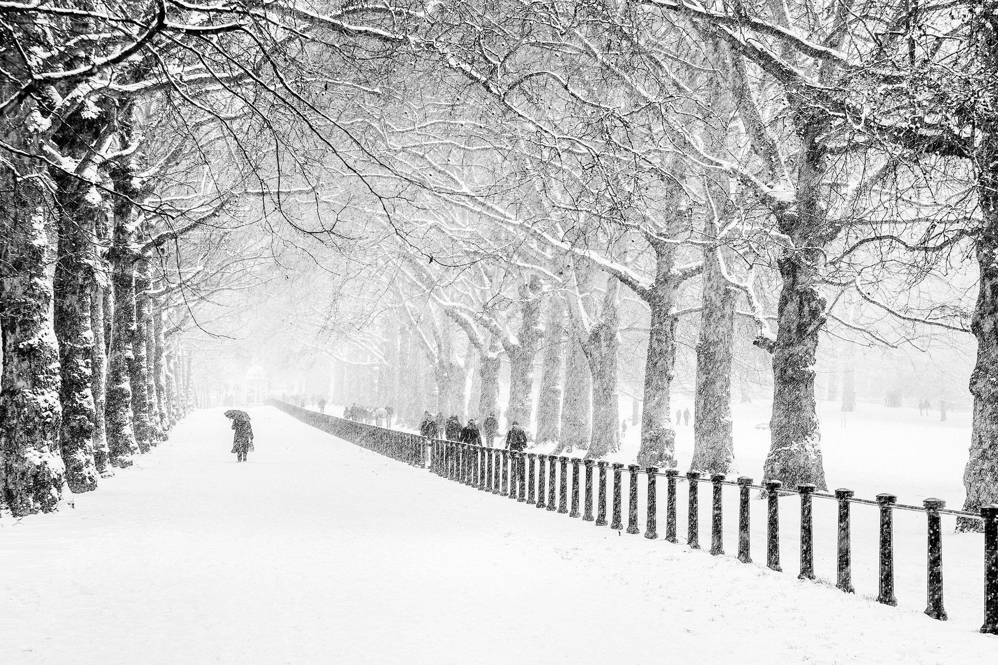 Snowy path in a park