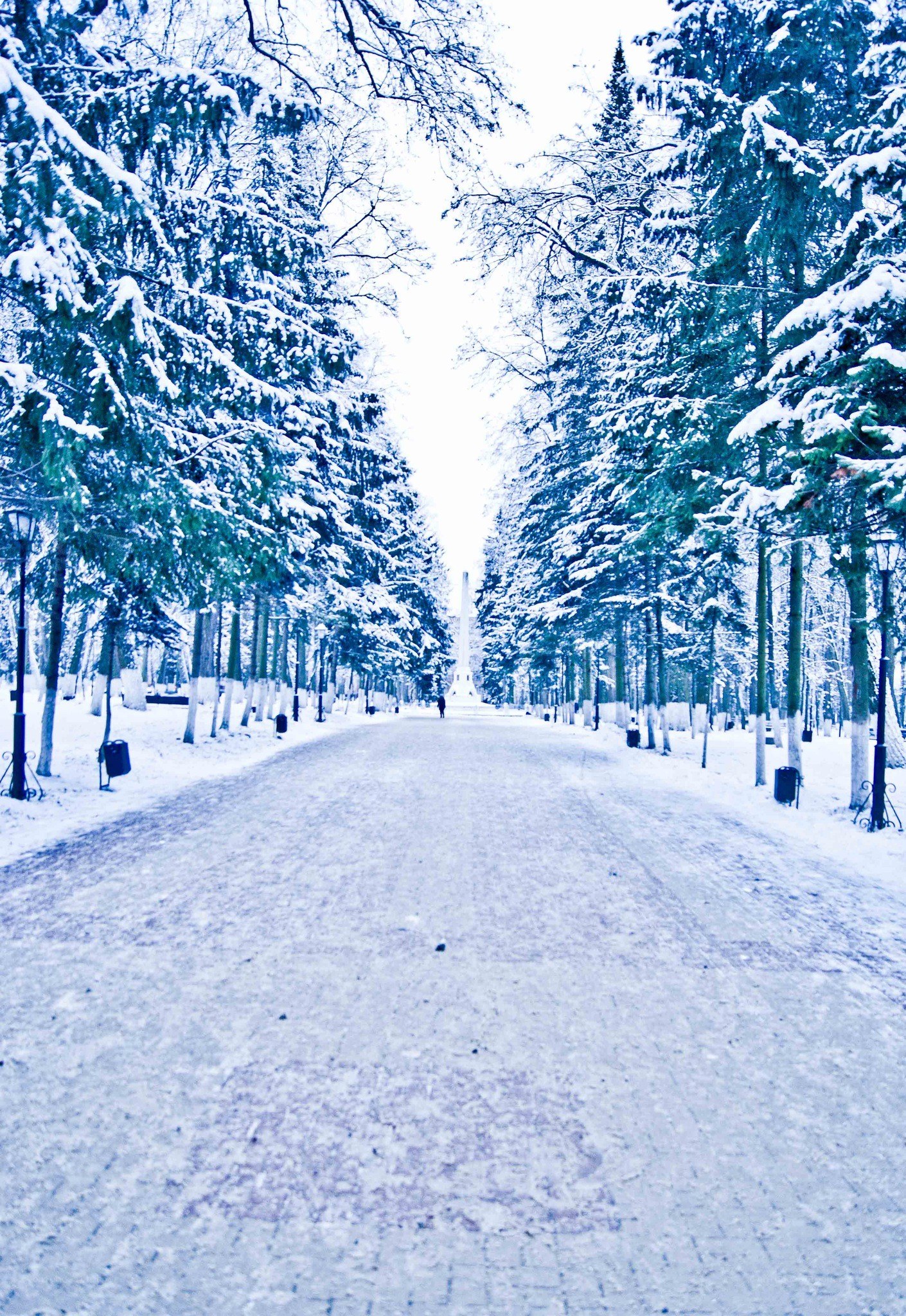 Snowy path in a winter park