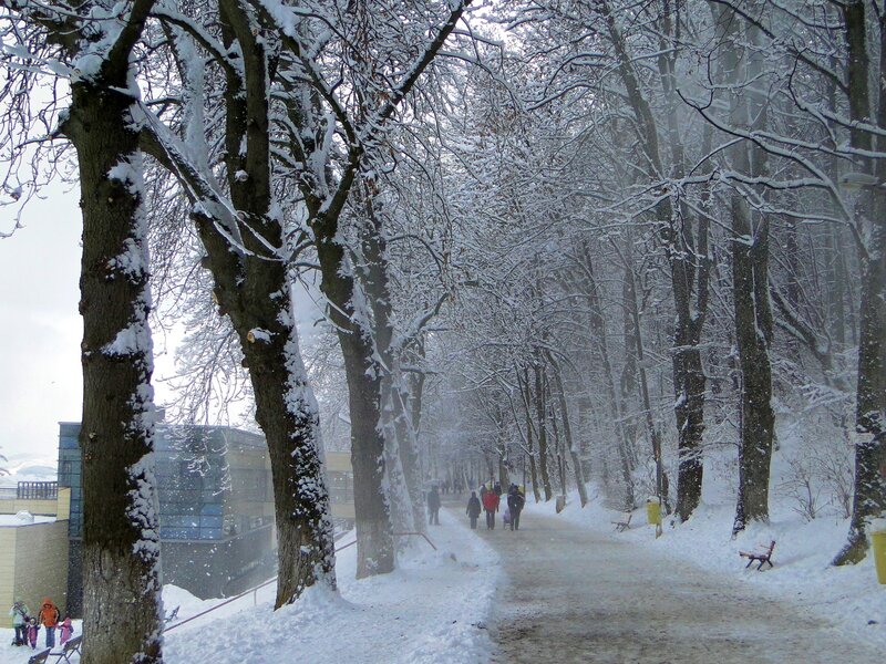 Snowy path in a winter park