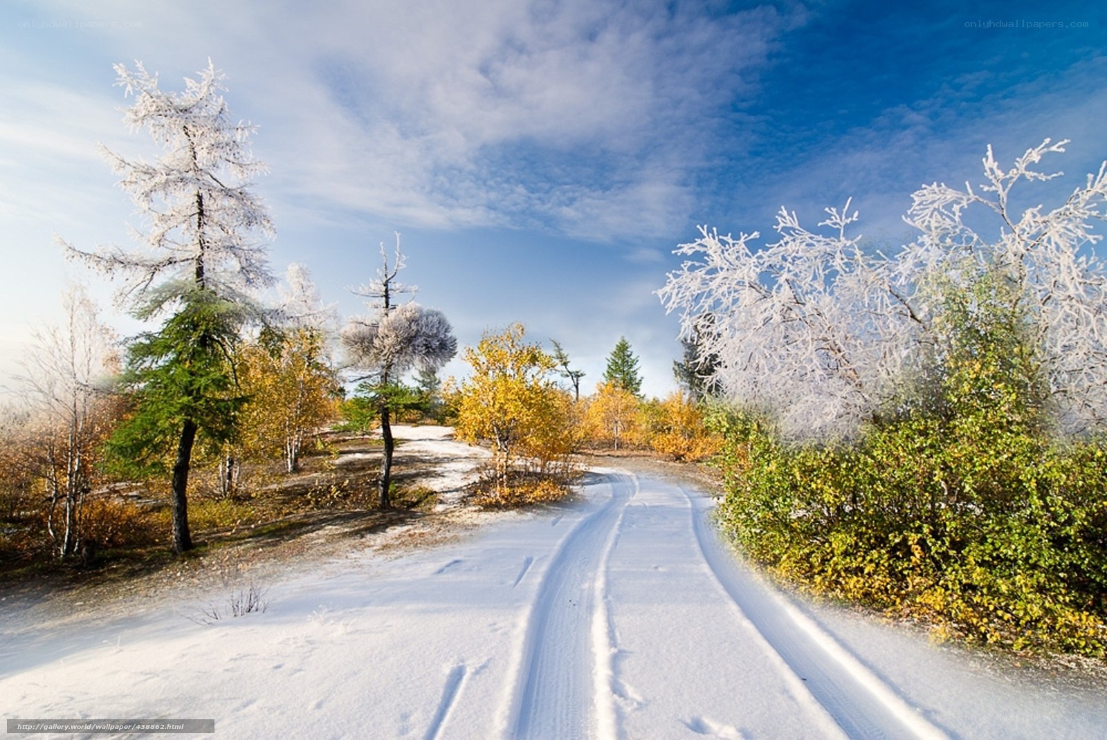 Snowy path in autumn forest