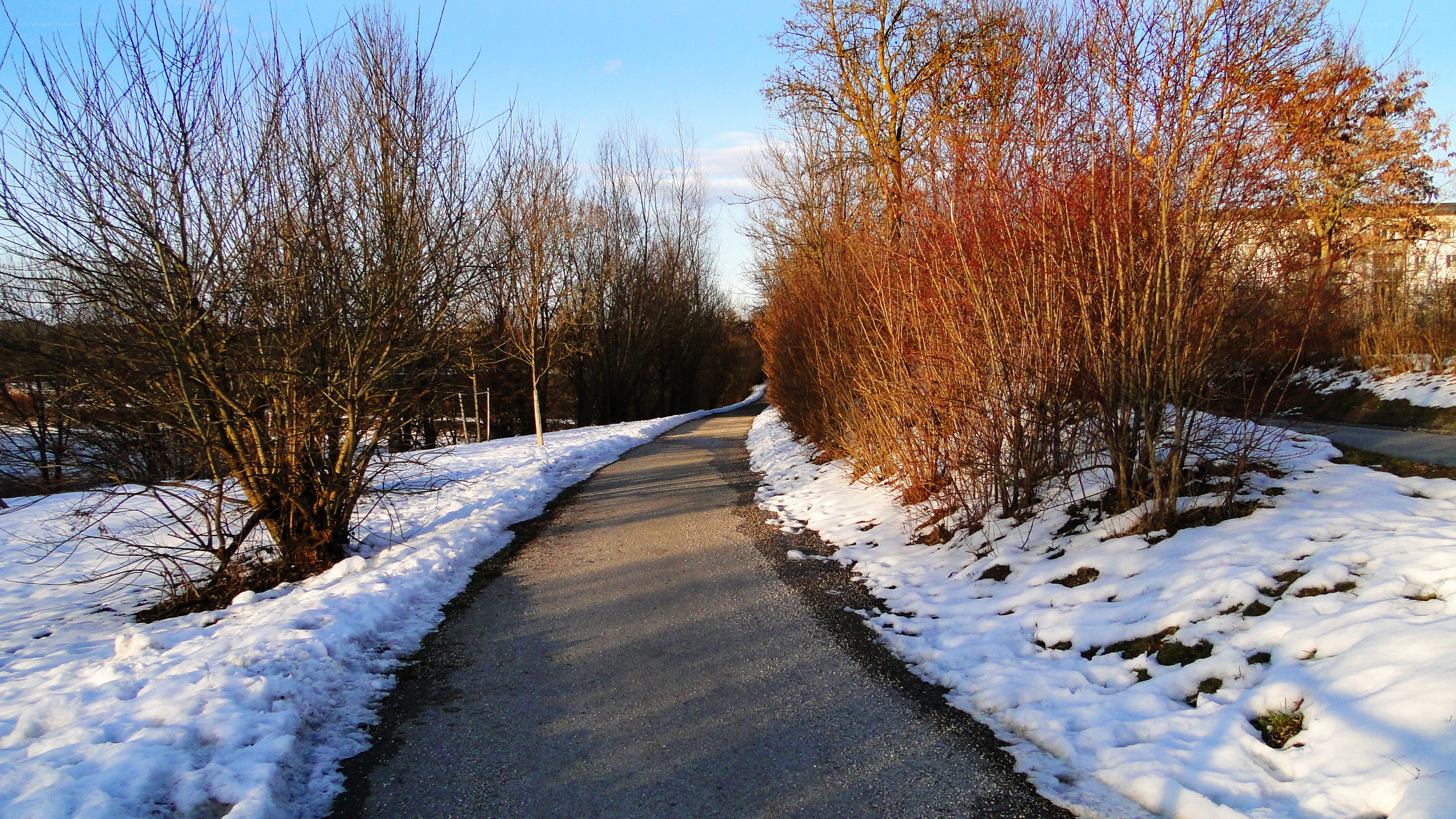 Snowy path in autumn